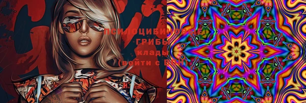 PSILOCYBIN Беломорск