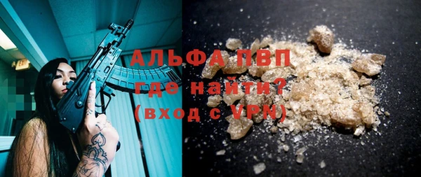 PSILOCYBIN Беломорск