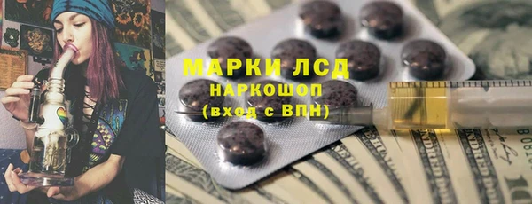 PSILOCYBIN Беломорск